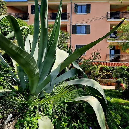 Apartmán Mareonda