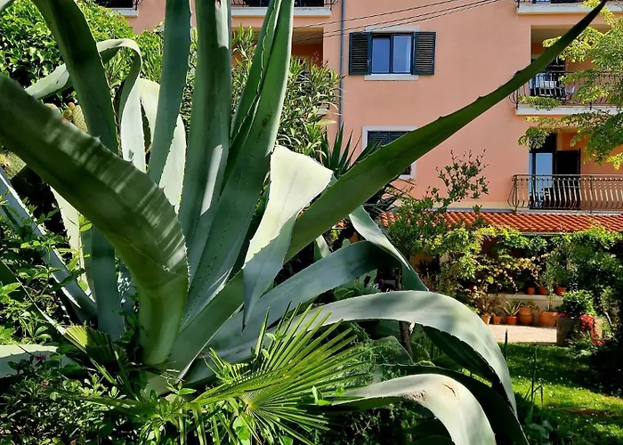 Apartmán Mareonda